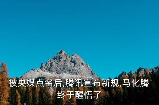 马化腾大数据分析,马云贵州打造数据中心?