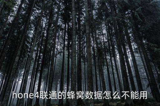iphone4 联通 蜂窝数据设置,联通蜂窝数据网络设置