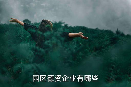 园区德资企业有哪些
