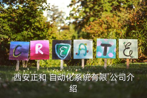  西安正和 自动化系统有限 pg电子娱乐平台的介绍