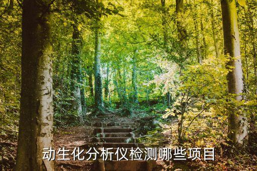 动生化分析仪检测哪些项目