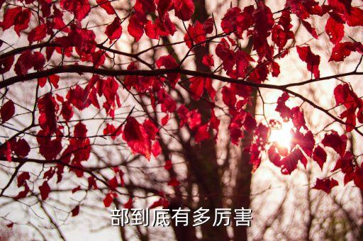 部到底有多厉害