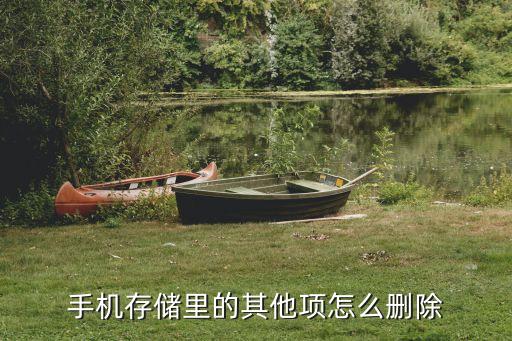 魅族数据可以清除吗,如何恢复魅族的数据?