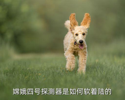 嫦娥四号探测器是如何软着陆的