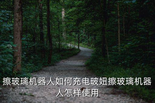 玻宝擦窗机器人,博牛擦窗机器人故障