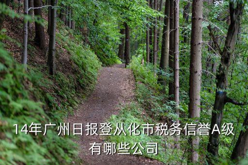 14年广州日报登从化市税务信誉a级有哪些公司