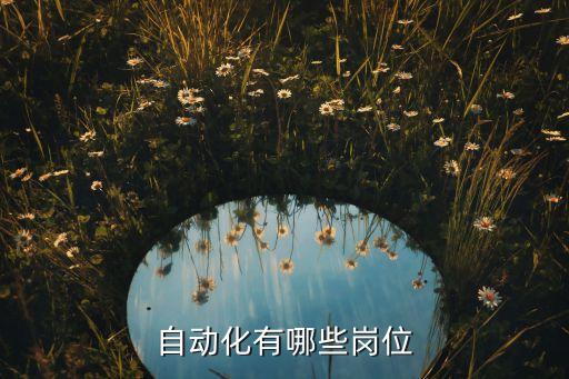 自动化有哪些岗位