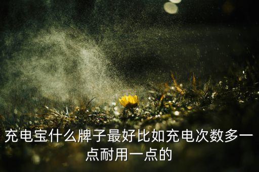 充电宝什么牌子最好比如充电次数多一点耐用一点的