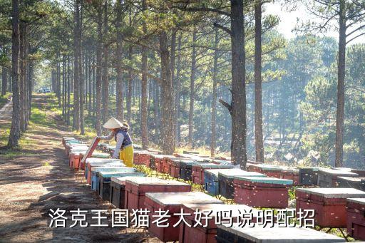猫老大，口袋妖怪猫老大多少级进化