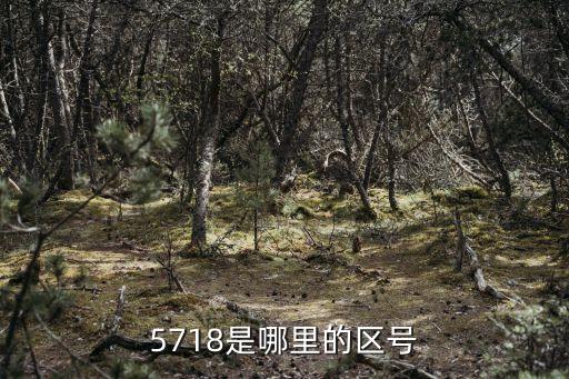 5718是哪里的区号