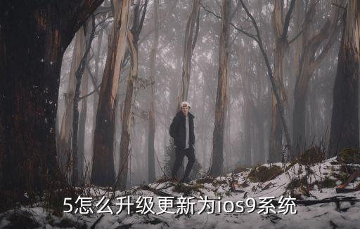 5怎么升级更新为ios9系统