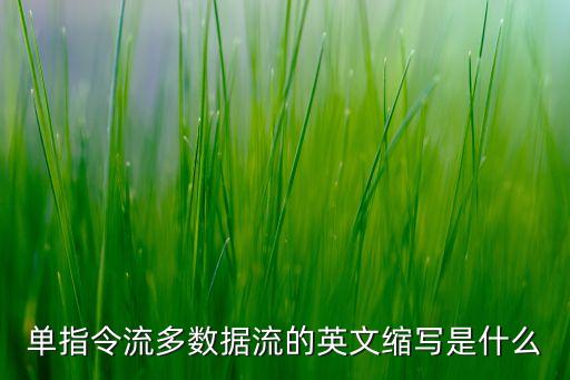单指令流多数据流的英文缩写是什么