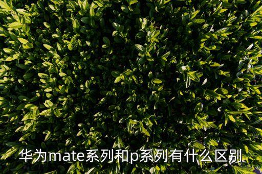 华为mate系列和p系列有什么区别