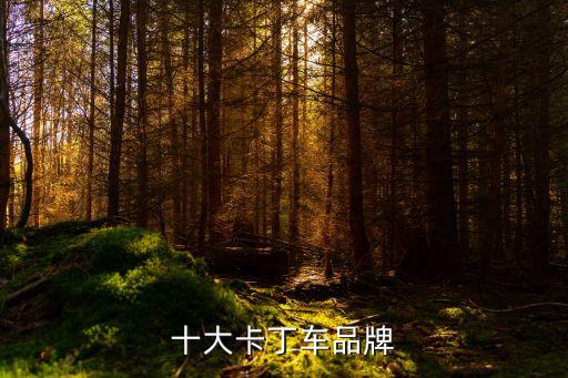 十大卡丁车品牌