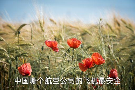 大航空，中国哪个航空公司的飞机最安全
