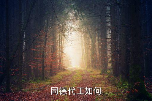 同德代工如何