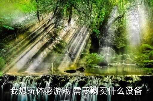 我想玩体感游戏 需要购买什么设备