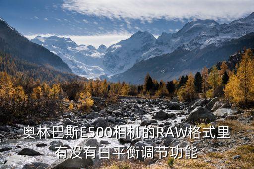 奥林巴斯e500，奥林巴斯e500相机机身带防抖功能吗