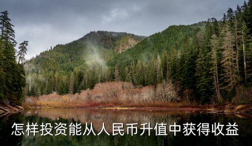 投资人民币，怎样投资能从人民币升值中获得收益