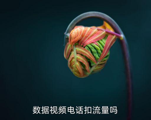 数据流量关了还能volte,流量关闭后volte通话