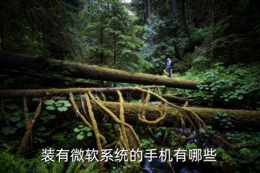 阿里云手机，手机版啊里旺旺