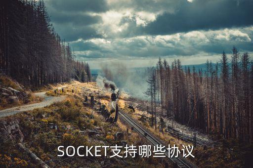 socket支持哪些协议