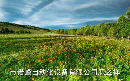 市诺峰自动化设备有限公司怎么样