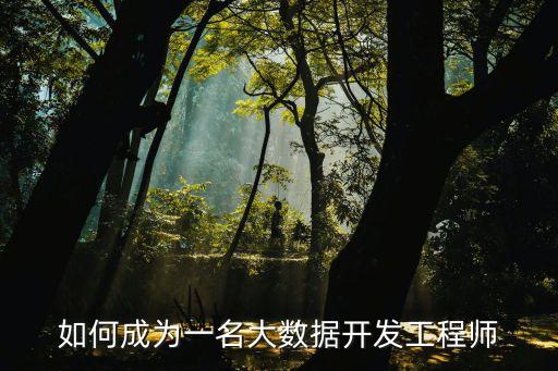 如何成为一名大数据开发工程师